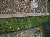 image of grave number 203400